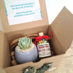 Regalo de amistad + pildoras🌈 - Imagen 4