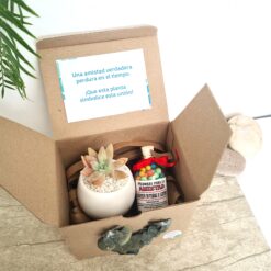 Regalo de amistad + pildoras🌈