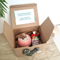 Regalo de amistad + pildoras🌈 - Imagen 6
