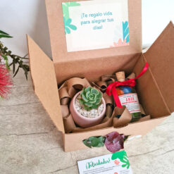 Regalo mariposas en el estómago ❤️