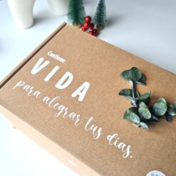 Regalo colección de colores y suculentas 💌 - Imagen 4
