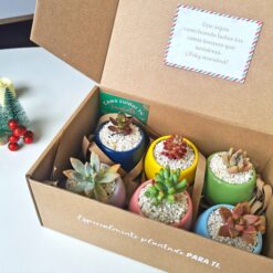 Regalo colección de colores y suculentas 💌