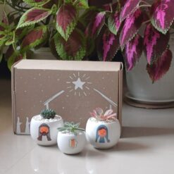 Pesebre de vida para regalar 🍃 Casita - Imagen 8