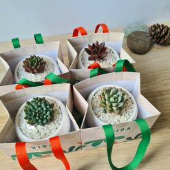 Alternative view of Regalos para agradecer ✨ (Mínimo 6 unidades)