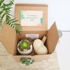 Suculenta conmemorativa + vela. Kits de regalo o de condolencias en Bogotá, Medellín y todo Colombia