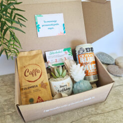 Respira vida Box 🍃☕ varios diseños.