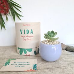 Regalo de vida - Varios colores 🌈