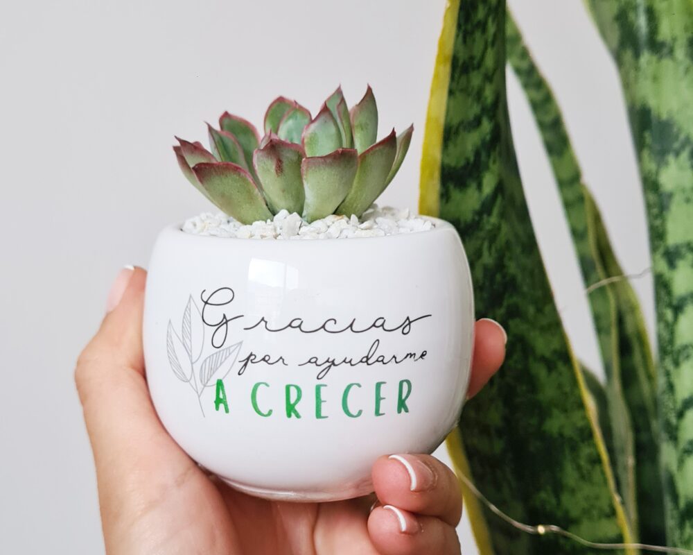 Regalos para agradecer
