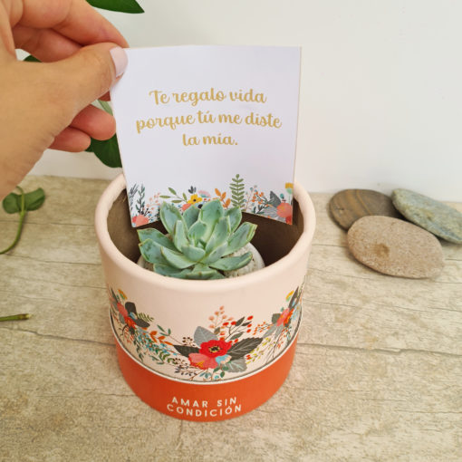 Regalos Día de la madre 2023 Bogotá