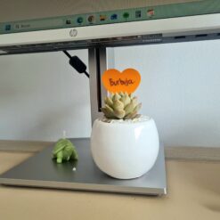 Nombre para tu planta de regalo 💛obsequio