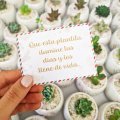 Regalo cultiva tus sueños🪴estandar - Imagen 4