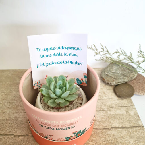 Regalo única Día de la Madre + Complemento🍬 - Imagen 18
