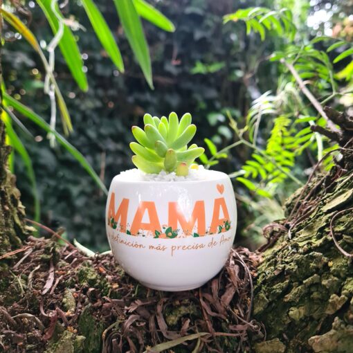 Regalos dia de la madre bogota