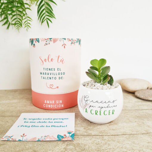 Regalo gracias Día de la Madre + Complemento🍬 - Imagen 15