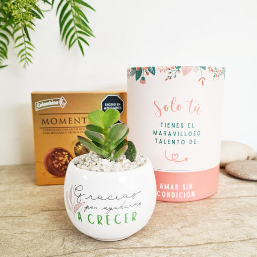 Regalo gracias Día de la Madre + Complemento🍬 - Imagen 4