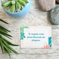 Regalo de cumpleaños + chocolates + mini bouquete 💐 - Imagen 8