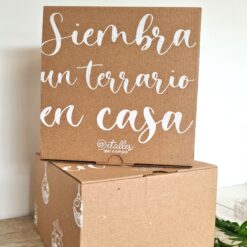 Siembra de amor y memoria (Terrario con soporte, vela y 30 frases) - Imagen 9