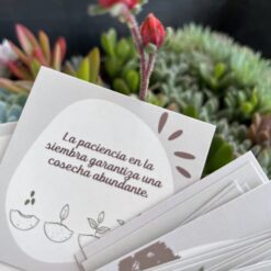 Siembra de amor y memoria (Terrario con soporte, vela y 30 frases) - Imagen 16