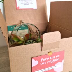 Una cita a distancia 🧡1 Terrario para sembrar + Bebida - Imagen 4