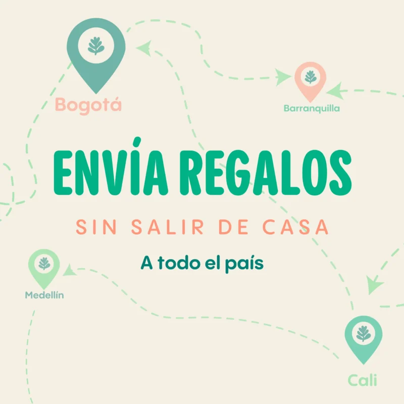 tienda-online-suculentas-Colombia- medellin