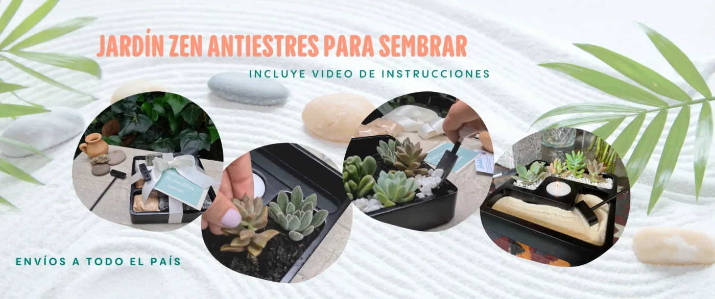 regalos para sembrar diferentes bogota