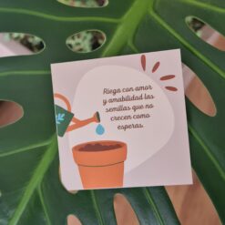 Una pausa para ti 🧘🏻 (Jardín zen + caja 30 frases motivacionales) - Imagen 7